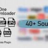 All in One Video Downloader Script 2.14.1