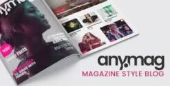 Anymag - Magazine Style WordPress Blog 2.9.7