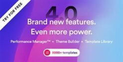Brisk - Multi-Purpose Elementor WordPress Theme 6.0.2