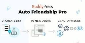 BuddyPress Auto Friendship Pro 1.2.1