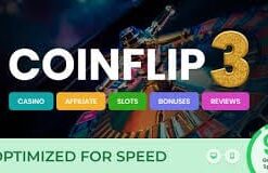 Coinflip - Casino Affiliate & Gambling WordPress Theme 2.7.1