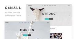 Conall - Clean Multipurpose Theme 2.4