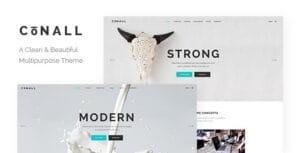 Conall - Clean Multipurpose Theme 2.4