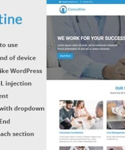 Consultine - Consulting, Business and Finance Website CMS 1.9