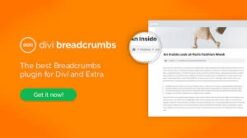 Divi Breadcrumbs – [Wpzone] 1.5.2