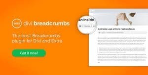 Divi Breadcrumbs – [Wpzone] 1.5.2