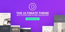 Divi — The Ultimate WordPress Theme & Visual Page Builder 4.22.2