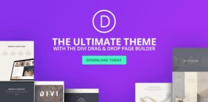 Divi — The Ultimate WordPress Theme & Visual Page Builder 4.22.2