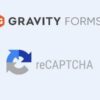 Gravity Forms reCAPTCHA Add On