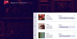 Laravel Media Library Pro 3.0.1