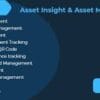 M Assets Asset Insight Management
