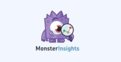 MonsterInsights – AMP Addon 1.7.0