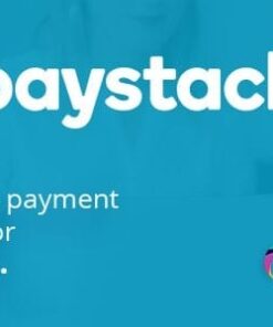 Paystack payment method for RISE CRM