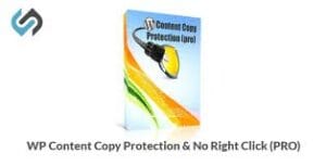 WP Content Copy Protection & No Right Click (PRO) 15.3
