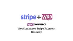 WooCommerce Stripe Payment Gateway 8.9.0