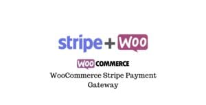 WooCommerce Stripe Payment Gateway 8.9.0
