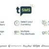 tSMS Temporary SMS Receiving System SaaS Rent out Numbers