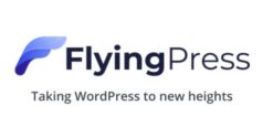 FlyingPress – Taking WordPress to new heights 5.1.2