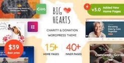 BigHearts - Charity & Donation WordPress Theme 3.1.3