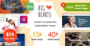 BigHearts Charity Donation WordPress Theme