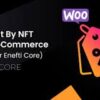 Discount by NFT for WooCommerce addon