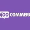 Google Tag Manager for WooCommerce PRO 1.13.1