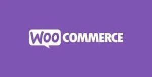 Google Tag Manager for WooCommerce PRO 1.13.1
