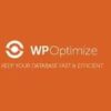 WP Optimize Premium