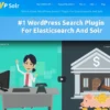 WPSOLR PRO – AI search for WordPress & WooCommerce 23.3