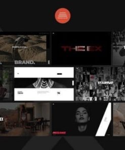 Asurex - Multipurpose WordPress Theme