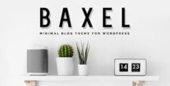 Baxel - Minimal Blog Theme for WordPress 5.0.7