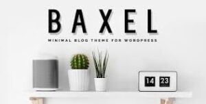 Baxel - Minimal Blog Theme for WordPress 5.0.7