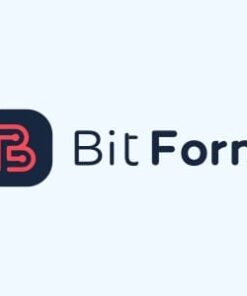 Bit Form Pro 2.12.3