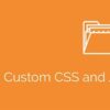 Simple Custom CSS and JS PRO 4.40