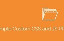 Simple Custom CSS and JS PRO 4.40