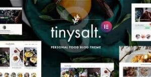 TinySalt - Personal Food Blog WordPress Theme 3.5.0
