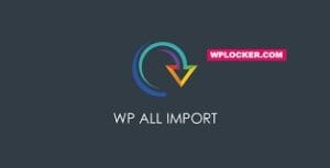 WP All Import Pro 4.10.1