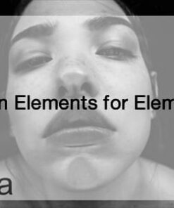 Amedea Vol.1 - Unique Design Elements for Elementor 0.2.2
