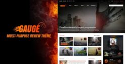 Gauge: Multi-Purpose Review Theme 6.56