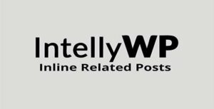 IntellyWP – Inline Related Posts Pro 3.8.0