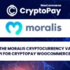 Moralis Converter API for CryptoPay WooCommerce