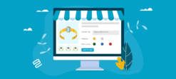 Woocommerce Product Options 2.4.0